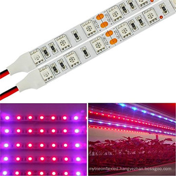 5M LED Strip Plant Grow Light Hydroponic Aquarium Lamp Red Blue 4:1 DC 12V 5050